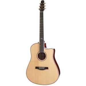 Guitar Seagull Artist Mosaic CW HG EQ