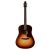 Guitar Seagull Entourage Autumn Burst