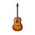 Guitar Seagull Entourage Folk Rustic Burst