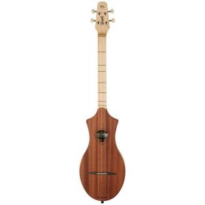Guitar Seagull M4 Mahogany