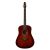 Guitar Seagull Maritime SWS Maho Burnt Umber GT Presys II