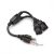 HOSA POWER Y CABLE DUAL IEC C13 TO NEMA 5-15P