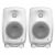 Genelec 8020 DWM